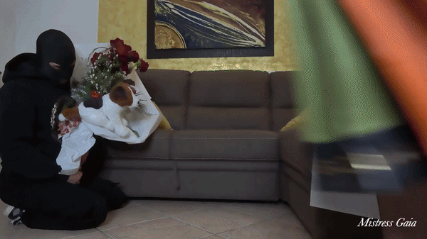 MISTRESS GAIA - CONTO IN BANCA E PALLE SVUOTATE PER IL CORNUTO - HD
