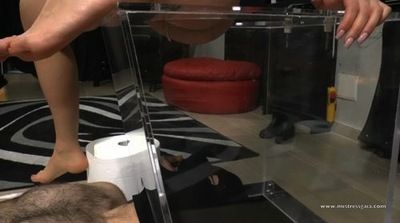 MISTRESS GAIA - MY TOILET SLAVE