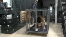 MISTRESS GAIA - ARE YOU HUNGRY?